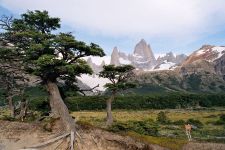 Fitz Roy | Argentina
