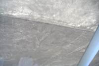 Pt�k | Nazca, Peru