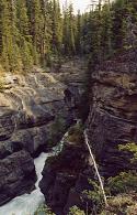 Ka�on Mistaya, Park Banf, Kanada