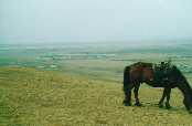 Mongolsko - Erdene Zu